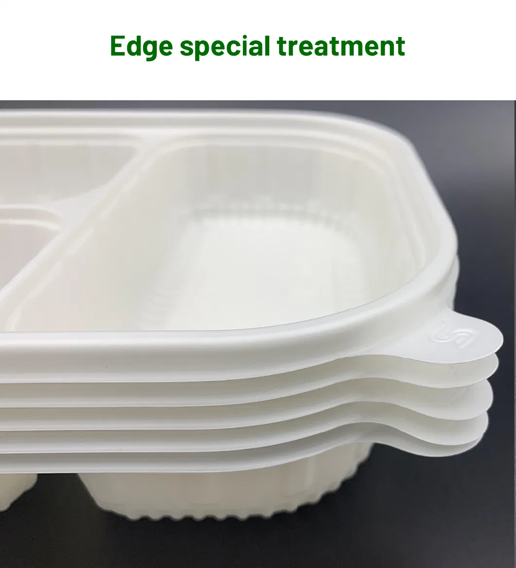 New for Sale Biodegradable Disposable Food Container Lunch Tableware Dinner Eco-Plaith Lisstic Packaging Box