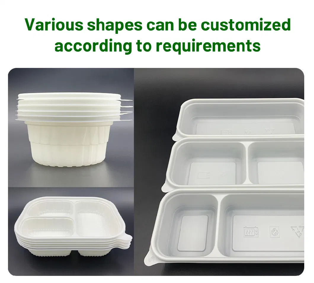 New for Sale Biodegradable Disposable Food Container Lunch Tableware Dinner Eco-Plaith Lisstic Packaging Box