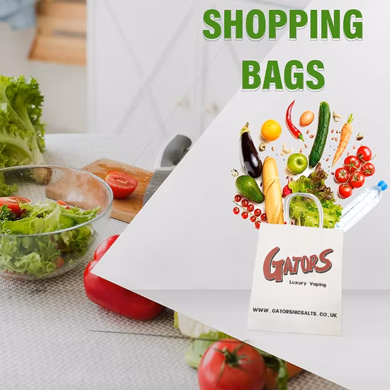 손잡이가 있는 쇼핑백, 생분해성 선물 가방